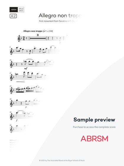 Allegro non troppo - Flute Exam Pieces 2026, Grade 6 (Digital Sheet Music) protected preview